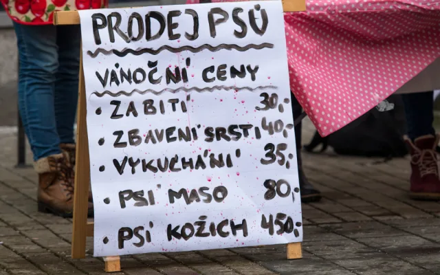 Prodej vánočních psů v centru Liberce poukazuje na masakr v podobě prodeje kaprů