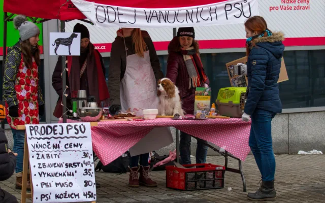 Prodej vánočních psů v centru Liberce poukazuje na masakr v podobě prodeje kaprů