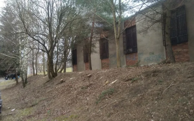 Sídliště na Broumovské a Gagarince prokoukla, došlo na kácení i prořezávání.