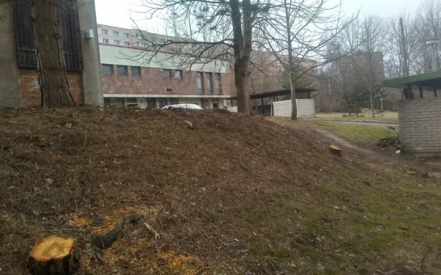 Sídliště na Broumovské a Gagarince prokoukla, došlo na kácení i prořezávání.