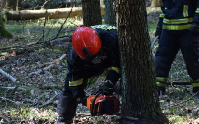 Hasiči si v rámci přeshraničního workshopu vyzkoušeli práci s motorovkou.