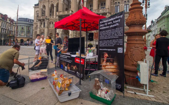 Dnešní akce na Benešáku zaměřená na boj proti klecovým chovům.