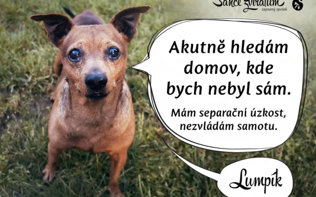 Lumpík.