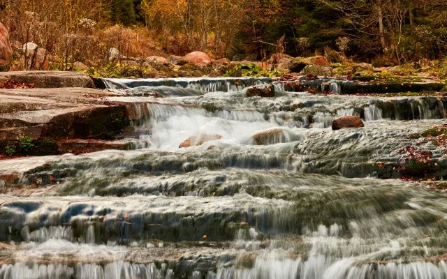 www.fotosalek.com