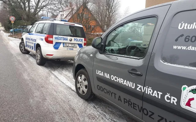 Zubožený Árny žil v hrozných podmínkách.