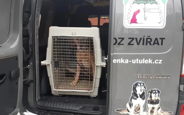 Zubožený Árny žil v hrozných podmínkách.
