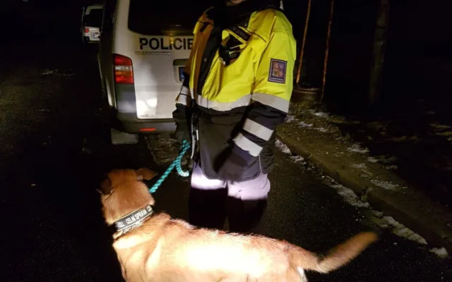 Policisté a celníci si posvítili na autobusy.