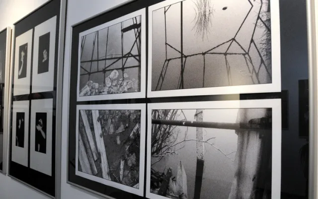 Fotografie Pavla Stejskala