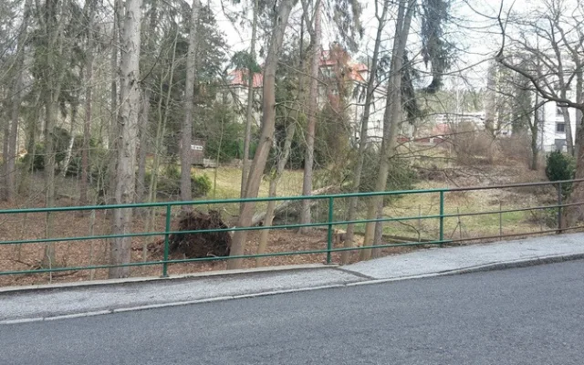 Poničené stromy v Liberci
