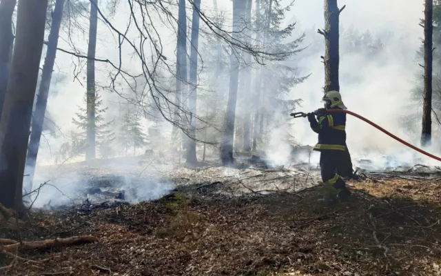 Požárů v přírodě rychle přibývá. U Troskovic zasahovalo šest jednotek hasičů