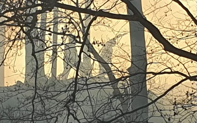FOTO: Hasiči likvidují u Železného Brodu požár lesa na 15 hektarech