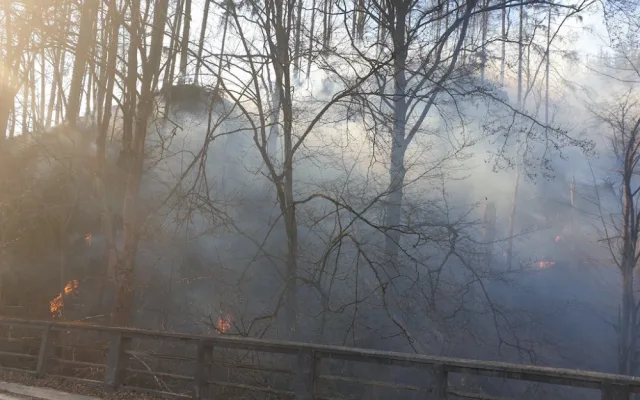 FOTO: Hasiči likvidují u Železného Brodu požár lesa na 15 hektarech