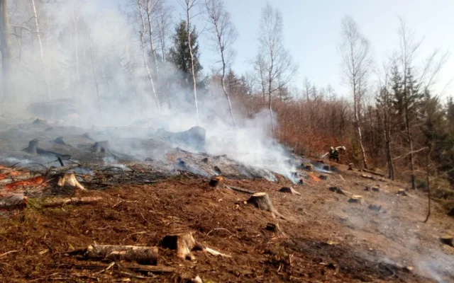 FOTO: Na Proseči hořel les, vyhlášen byl druhý stupeň požárního poplachu