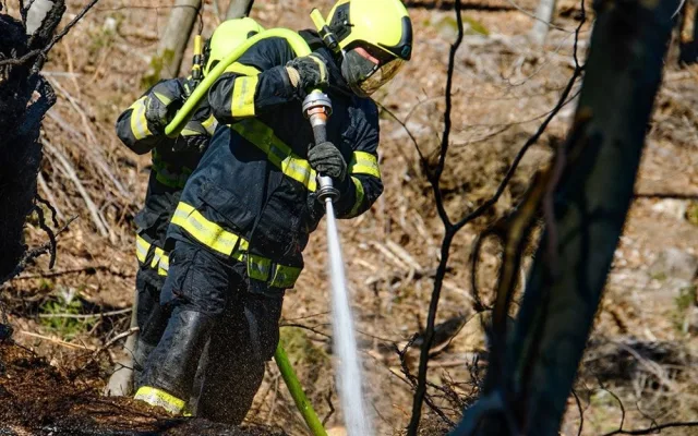 FOTO: Včera zasahovali hasiči v harcovském lese, hořely zde větve a klády