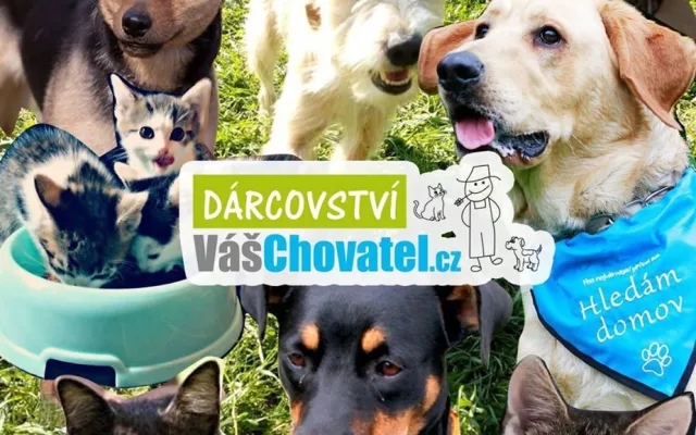 VášChovatel: Každý, kdo u nás nakupuje, podporuje zároveň útulky. Snažíme se, aby naše podnikání mělo přesah