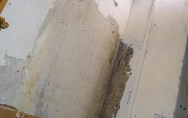 Inspekce zakázala v libereckých potravinách vyrábět jarní závitky