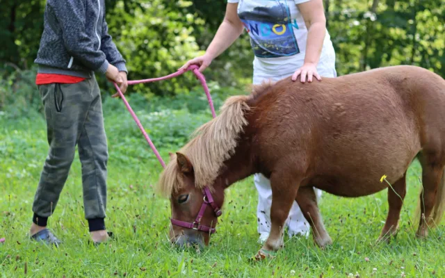 Nový terapeut Mášenka
