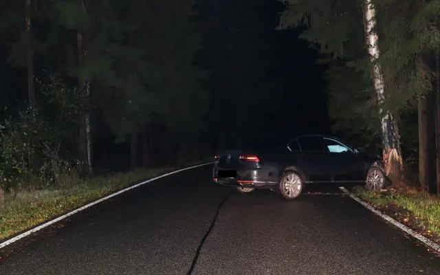 Řidiči vběhly do cesty srnky, strhl řízení a skončil ve stromě