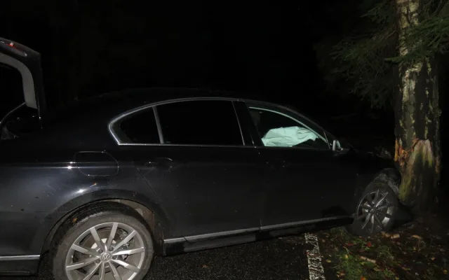 Řidiči vběhly do cesty srnky, strhl řízení a skončil ve stromě
