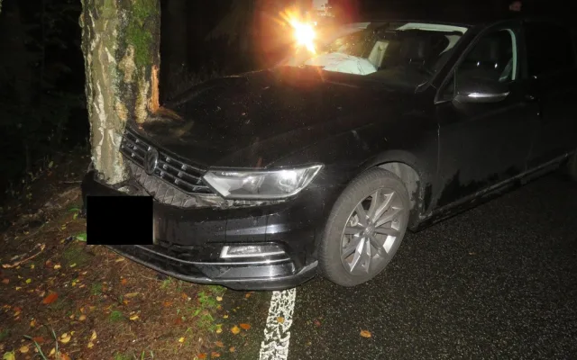 Řidiči vběhly do cesty srnky, strhl řízení a skončil ve stromě