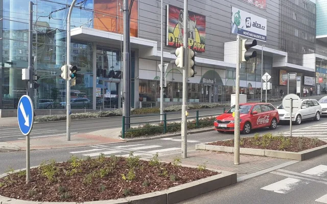 V Liberci stihli ještě před zimou vysadit nové trvalky na Husovce i v Palachově ulici