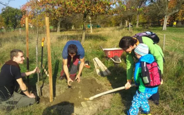 Koupit kus lesa a nic od něj nechtít. Nemusí generovat zisk, říká Anna Hudská ze ZAzemí