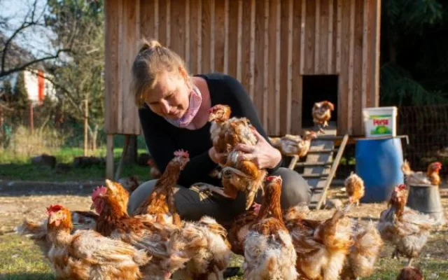 Koupit kus lesa a nic od něj nechtít. Nemusí generovat zisk, říká Anna Hudská ze ZAzemí