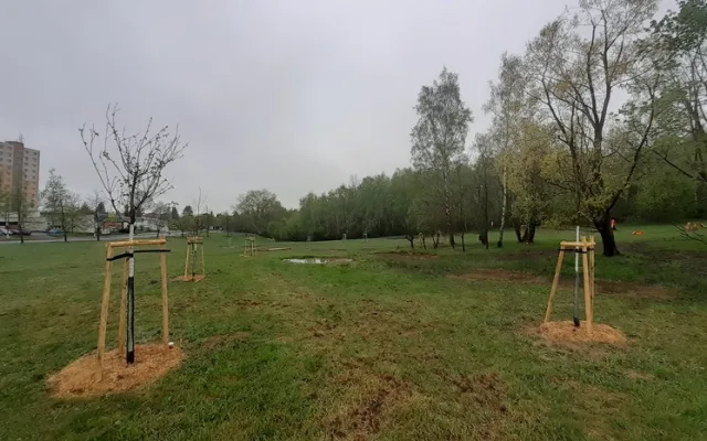 Nové tůně, stromy i trvalky. Louka za Hokejkou se proměnila