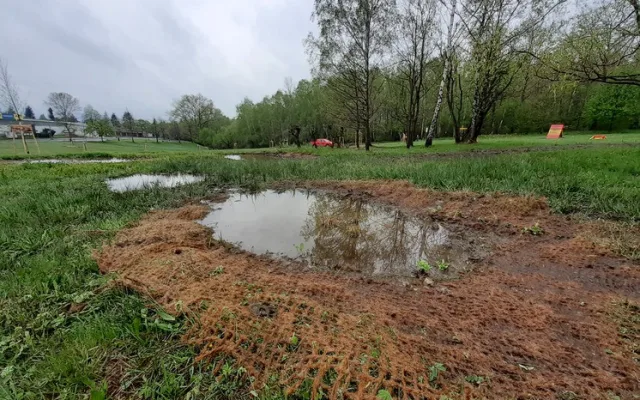 Nové tůně, stromy i trvalky. Louka za Hokejkou se proměnila