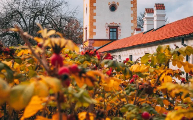 Podzimní pobyt na jihu Čech může znamenat dovolenou zdarma