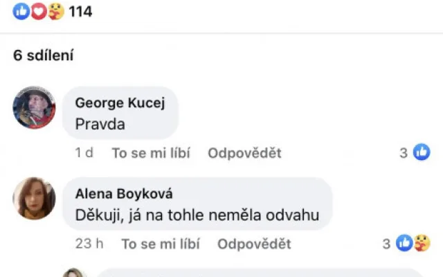 Rusové nás osvobodili, neměli bychom je kritizovat, píše česká dezinformační scéna