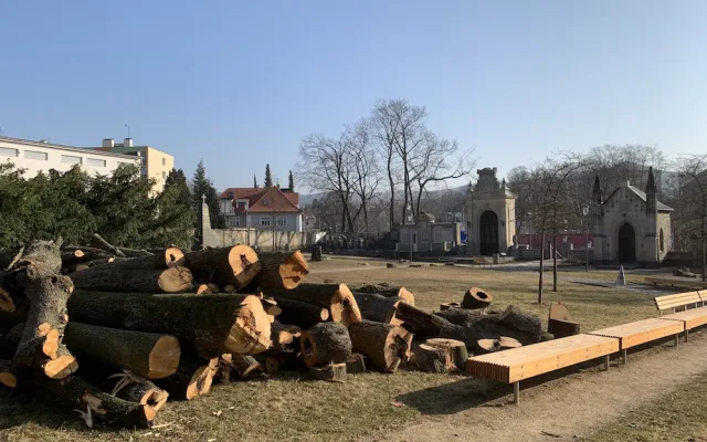 Kácení v Zahradě vzpomínek. Stromy jsou pryč, areál projde obnovou