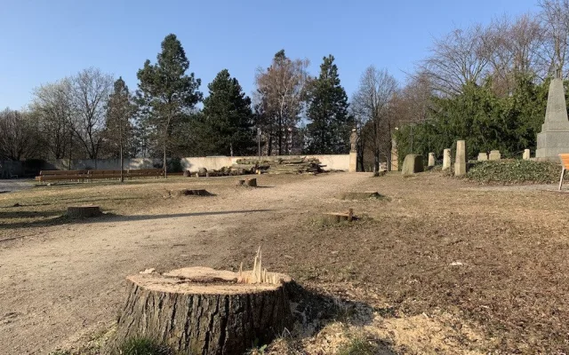 Kácení v Zahradě vzpomínek. Stromy jsou pryč, areál projde obnovou