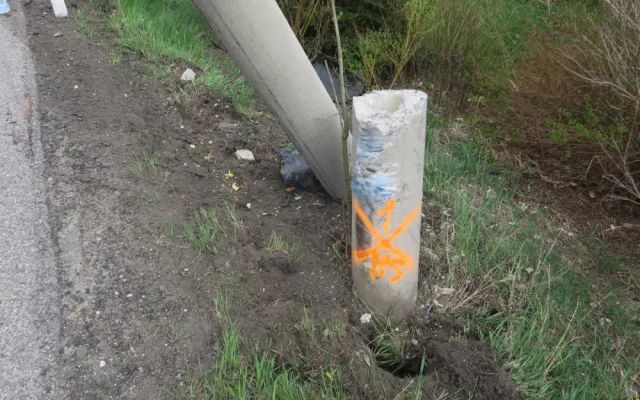 Řidičce vletěla do auta včela. Za nabourání do sloupu dostala žena pokutu