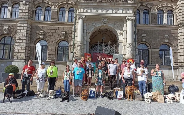 Orientace v prostoru i poslušnost. Vodící psi soutěžili před radnicí