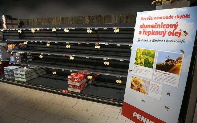 Penny: „Bez včel bychom přišli o šedesát procent potravin“