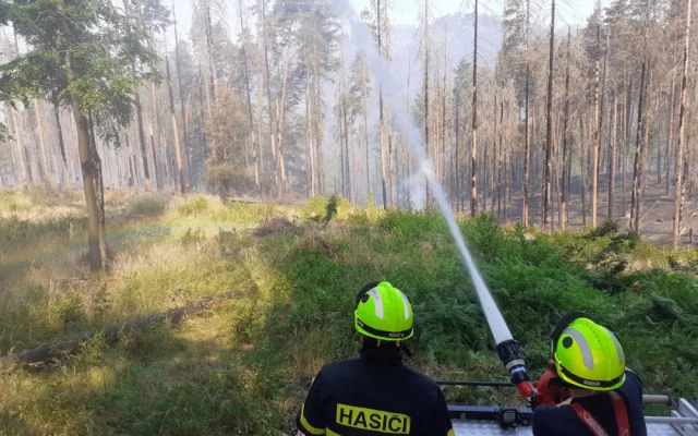 Do hašení požáru v Hřensku se zapojilo téměř sedmdesát hasičů z Libereckého kraje. Na pomoc přiletěla letadla ze Švédska
