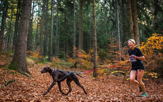 Běžecký závod Janovských 11 a 19 km