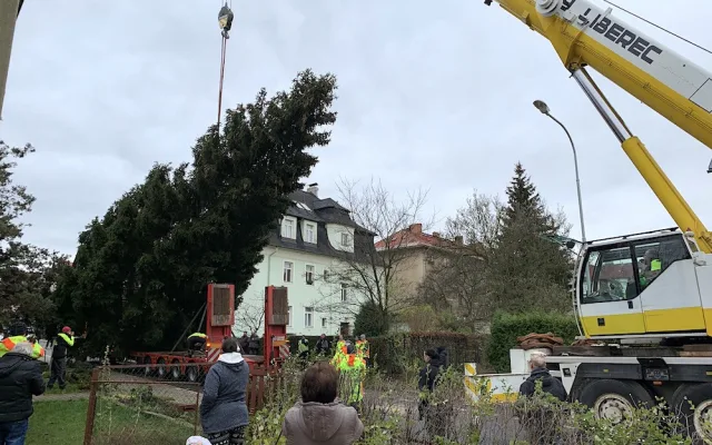 Liberec už má vánoční strom. Na náměstí dorazil z Husitské ulice