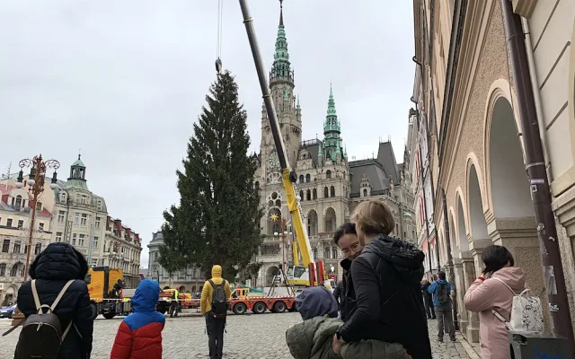 Liberec už má vánoční strom. Na náměstí dorazil z Husitské ulice