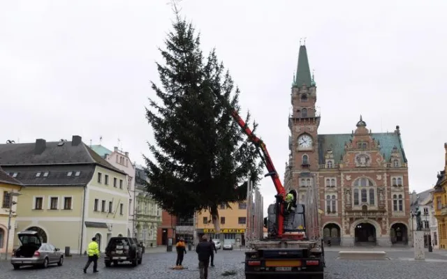 Frýdlantský vánoční strom