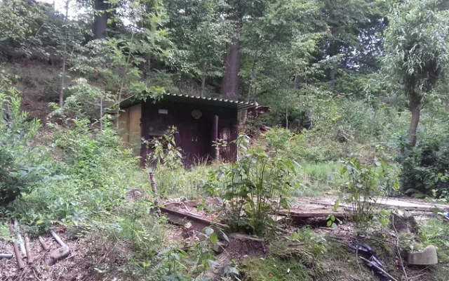 Odsouzení z liberecké věznice pravidelně pomáhají s údržbou města. Čistí parky i černé skládky