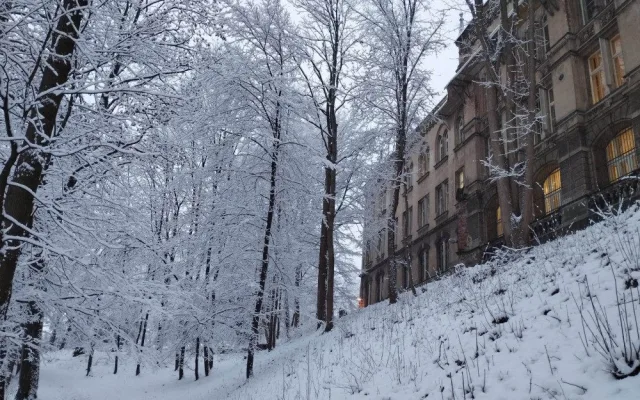 Sněhem zapadal i Liberec.