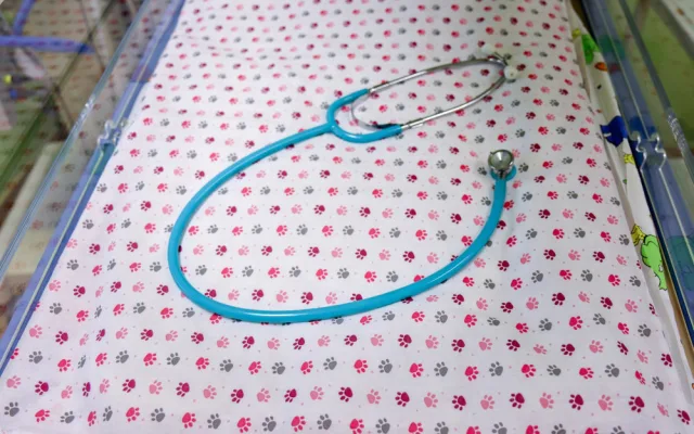 Studentky z Kateřinek našily desítky kusů povlečení pro libereckou neonatologii