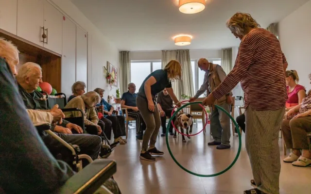 Dárečka a Annie senioři milují. Psi jsou pro ně kamarády i terapeuty