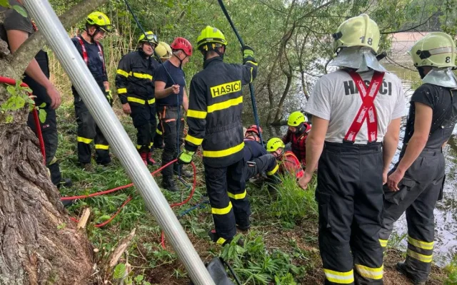 Hasiči zachránili koně, který uvízl v bahně. Použili síť a kladku
