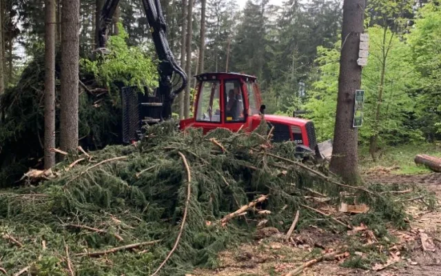 Kácení na Proseči je necitlivé, míní místní. Podle lesníků jde o běžný postup
