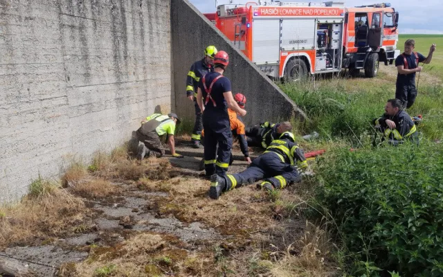 Kráva spadla do septiku, hasiči ji vytáhli ven ve speciální síti