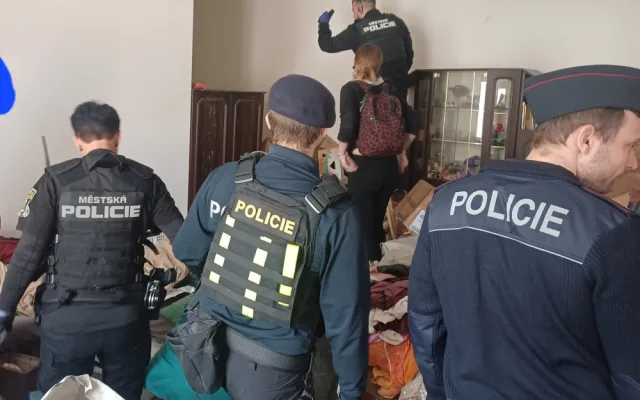 Tři desítky koček živořily v hrozných podmínkách. Policie prověřuje týrání