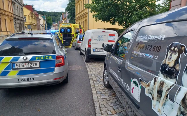 Tři desítky koček živořily v hrozných podmínkách. Policie prověřuje týrání